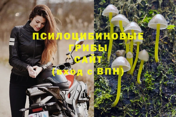 ешки Бронницы