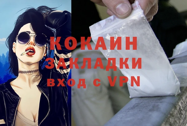ешки Бронницы
